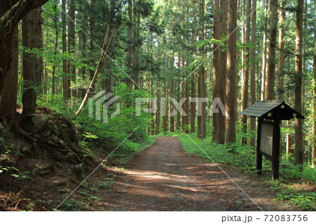 千国街道　佐野坂峠の道　鬼石付近 72083756