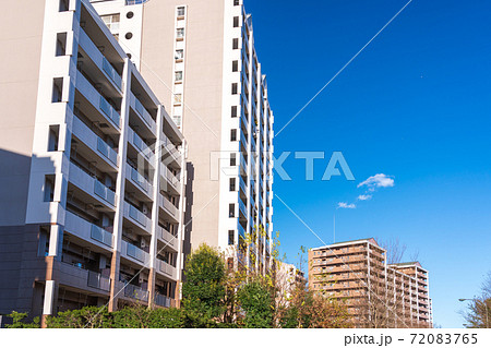 紅葉した街路樹とマンション 72083765