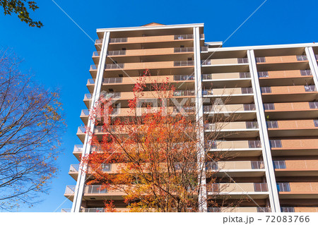 紅葉した街路樹とマンション 72083766