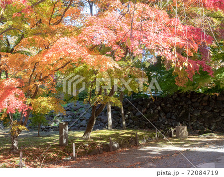 古い石垣と鮮やかな紅葉の景色 72084719