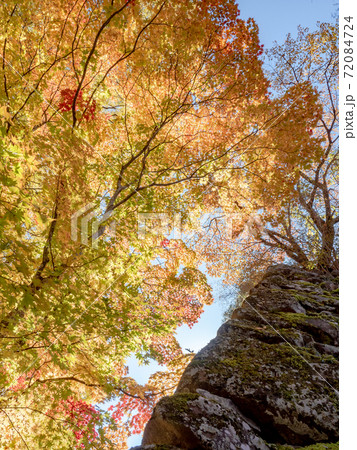 古い石垣と鮮やかな紅葉の景色 古い石垣と鮮やかな紅葉の景色 72084724