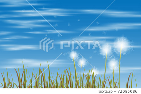 Dandelion in the meadow with cloud on the blue sky in winter background 72085086