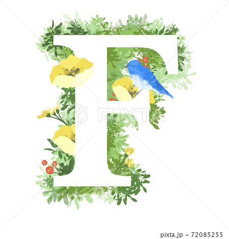 おしゃれなお花と青い鳥のイラストの英語のフォント Fのイラスト素材