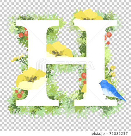 おしゃれなお花と青い鳥のイラストの英語のフォント Hのイラスト素材