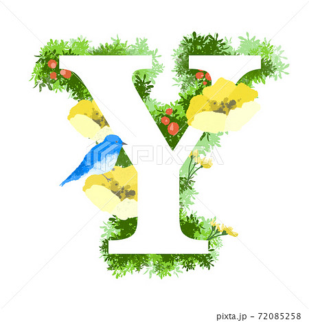 おしゃれなお花と青い鳥のイラストの英語のフォント Yのイラスト素材
