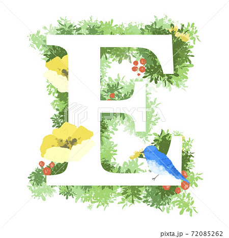 おしゃれなお花と青い鳥のイラストの英語のフォント Eのイラスト素材