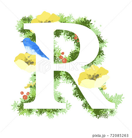 おしゃれなお花と青い鳥のイラストの英語のフォント Rのイラスト素材