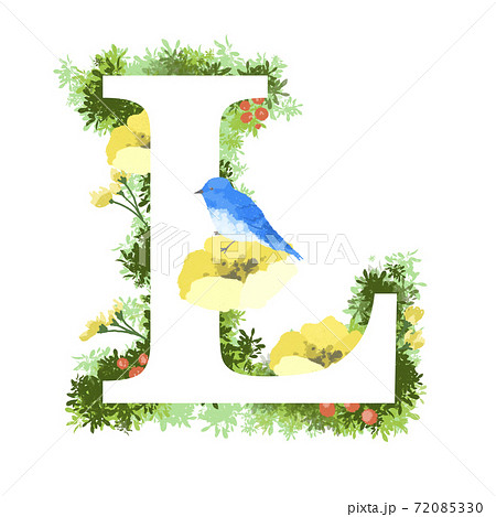 おしゃれなお花と青い鳥のイラストの英語のフォント Lのイラスト素材