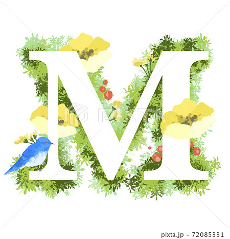 おしゃれなお花と青い鳥のイラストの英語のフォント Mのイラスト素材