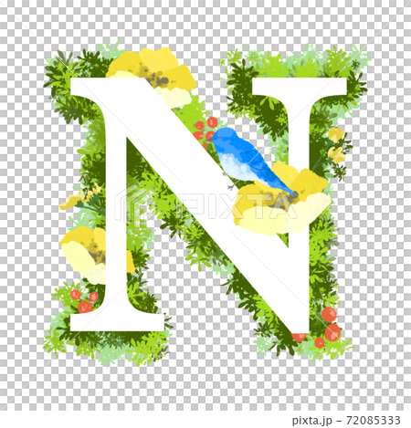 English font with illustrations of fashionable flowers and blue birds N English font with illustrations of fashionable flowers and blue birds N 72085333