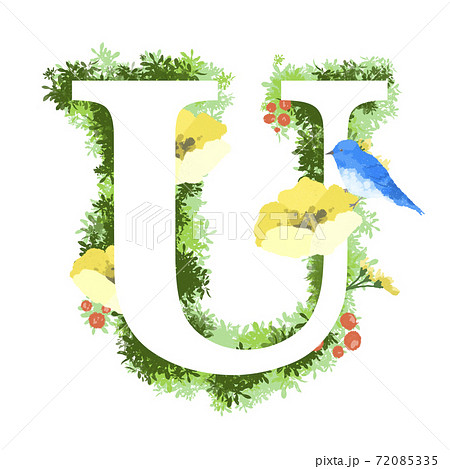 おしゃれなお花と青い鳥のイラストの英語のフォント Uのイラスト素材
