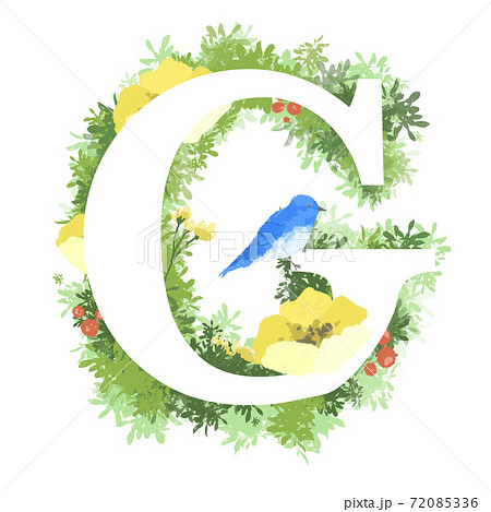おしゃれなお花と青い鳥のイラストの英語のフォント Gのイラスト素材