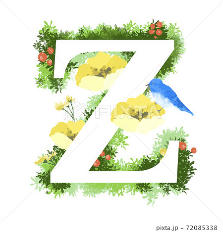 おしゃれなお花と青い鳥のイラストの英語のフォント Z 72085338