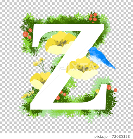 English font Z with illustrations of fashionable flowers and blue birds English font Z with illustrations of fashionable flowers and blue birds 72085338