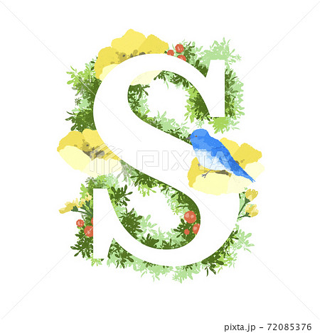 おしゃれなお花と青い鳥のイラストの英語のフォント Sのイラスト素材