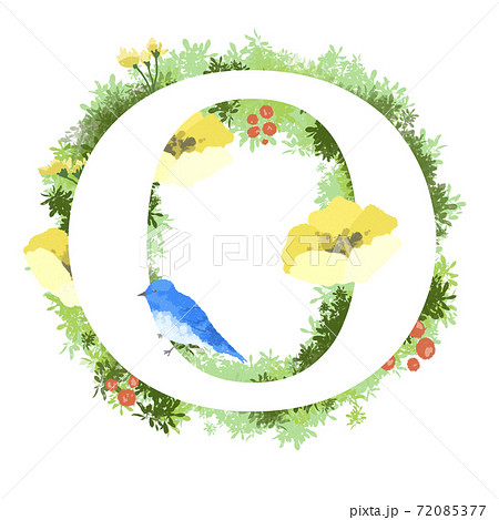 おしゃれなお花と青い鳥のイラストの英語のフォント Oのイラスト素材