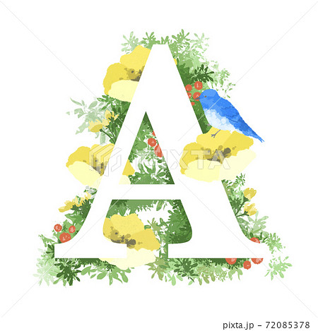 おしゃれなお花と青い鳥のイラストの英語のフォント Aのイラスト素材