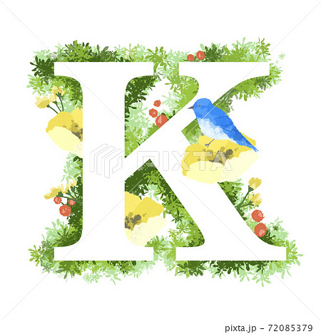 おしゃれなお花と青い鳥のイラストの英語のフォント Kのイラスト素材