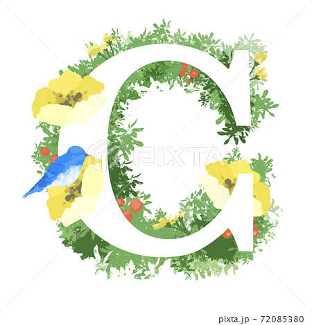 おしゃれなお花と青い鳥のイラストの英語のフォント Cのイラスト素材