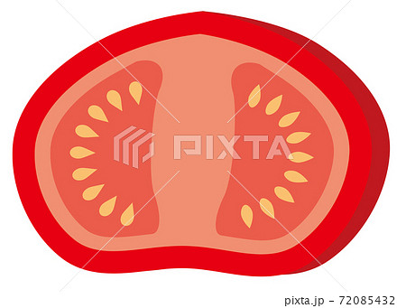 トマトの断面のシンプルなイラスト 白背景のイラスト素材