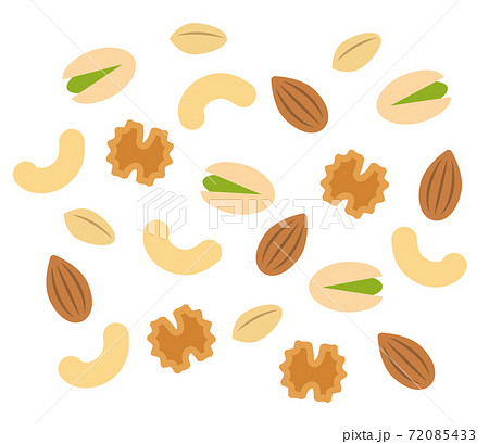 4種類のナッツのシンプルなイラスト 白背景のイラスト素材