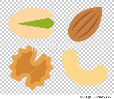 4種類のシンプルなナッツのイラスト 白背景のイラスト素材