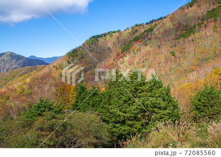 日光 半月峠第2駐車場からの眺望 紅葉景色 秋景色 日光 半月峠第2駐車場からの眺望 紅葉景色 秋景色 72085560