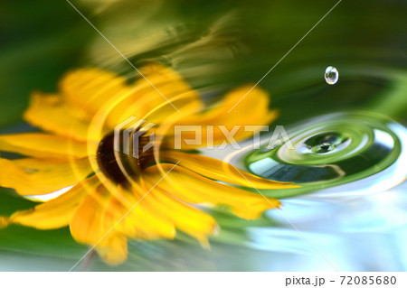 水滴と花のハーモニー 72085680