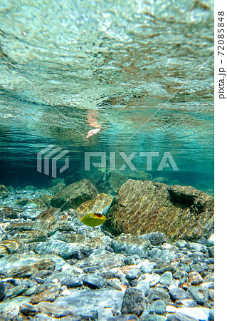 高知県 仁淀川町 安居渓谷 水中 高知県 仁淀川町 安居渓谷 水中 72085848