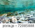 高知県　仁淀川町　安居渓谷　水中 72085888