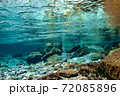 高知県　仁淀川町　安居渓谷　水中 72085896