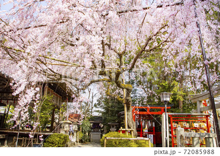 水火天満宮 水火天満宮 72085988