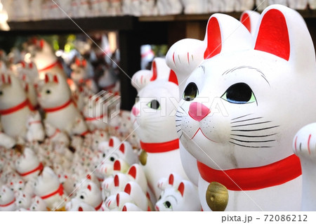 街 観光客を迎える豪徳寺の招き猫の写真素材