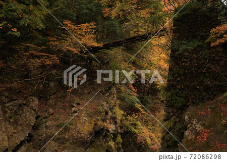 氷川渓谷の紅葉 72086298