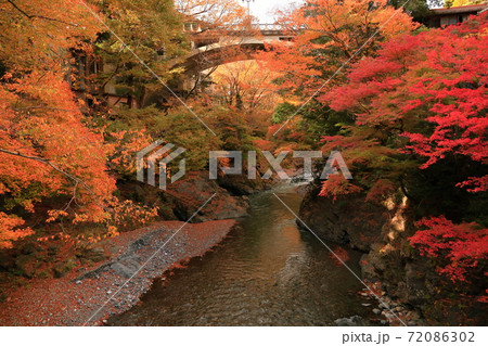 氷川渓谷の紅葉 72086302
