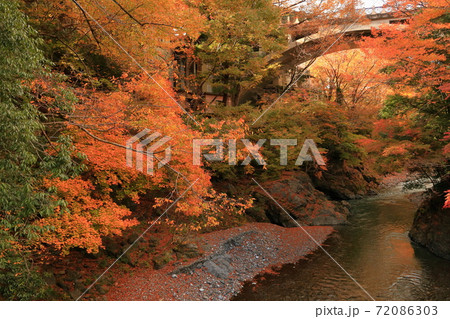 氷川渓谷の紅葉 72086303