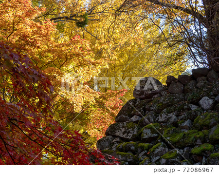 古い石垣と鮮やかな紅葉の景色 古い石垣と鮮やかな紅葉の景色 72086967