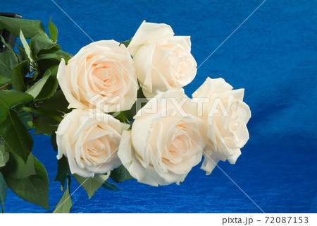 Composityion With Flowers 72087153