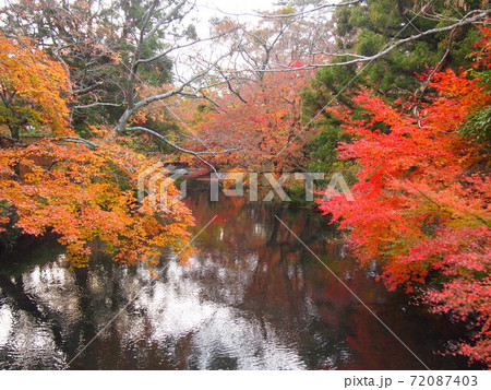 秋の日　紅葉と池 72087403