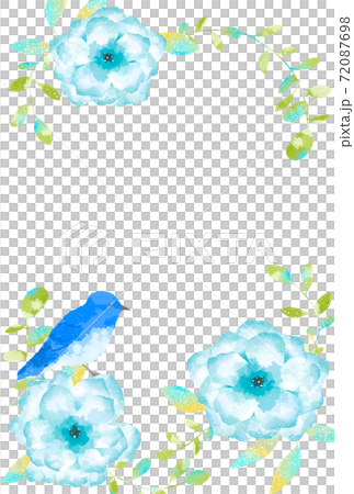 藍鳥,海葵和桉樹的框架承載著溫柔的幸福感 藍鳥,海葵和桉樹的框架承載著溫柔的幸福感 72087698