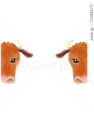 うしの顔 うしの顔 72088073