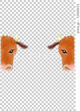 うしの顔 うしの顔 72088073