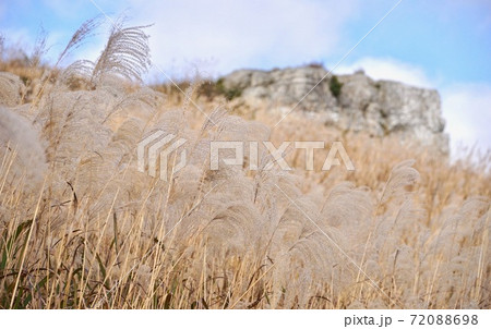 秋の生石高原の光景　和歌山県海草郡紀美野町 72088698