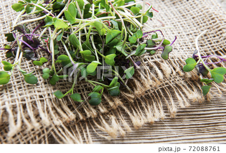 Heap of radish micro greens on old wooden background. Healthy eating concept. 72088761