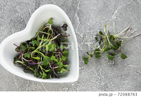 Red radish microgreens on a concrete table, healthy concept Red radish microgreens on a concrete table, healthy concept 72088763