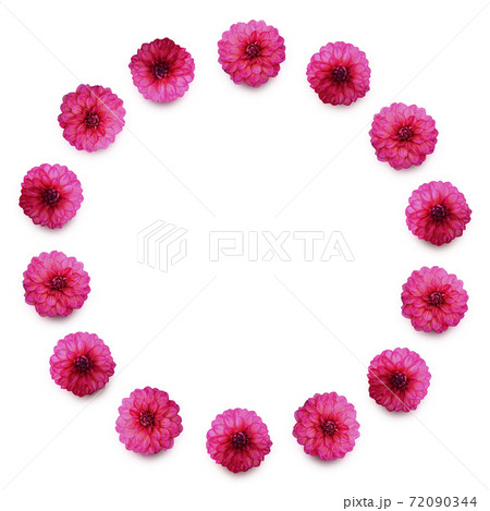 お花のフレーム_ダリア 72090344