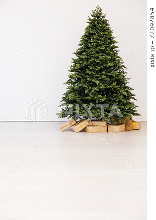 beautiful Christmas tree with gifts decor new year terrier beautiful Christmas tree with gifts decor new year terrier 72092854