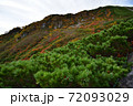 紅葉の千畳敷カール 72093029