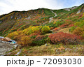 紅葉の千畳敷カール 72093030