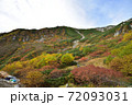 紅葉の千畳敷カール 72093031